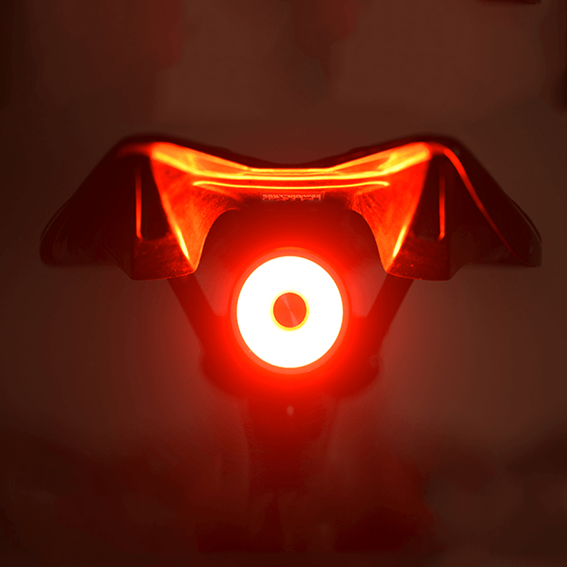 ENFINIX Intelligent Bicycle Taillight Brake Tail Light 6 Flashing Modes USB Charging Intelligent Sensor Cycling Light Cycling Equipment - MRSLM