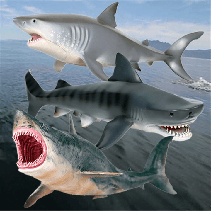 Shark Animal Model Simulation Marine Life PVC Shark Toys Children'S Adult Toys Gifts Decoration - MRSLM