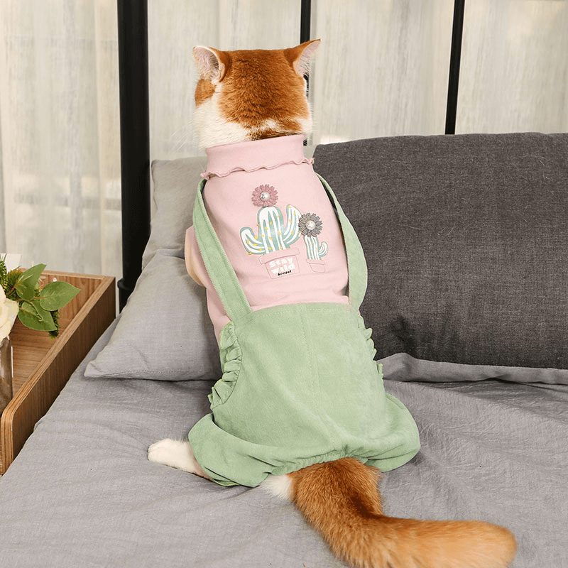 Warm and Cute Autumn and Winter Clothes for Pets - MRSLM