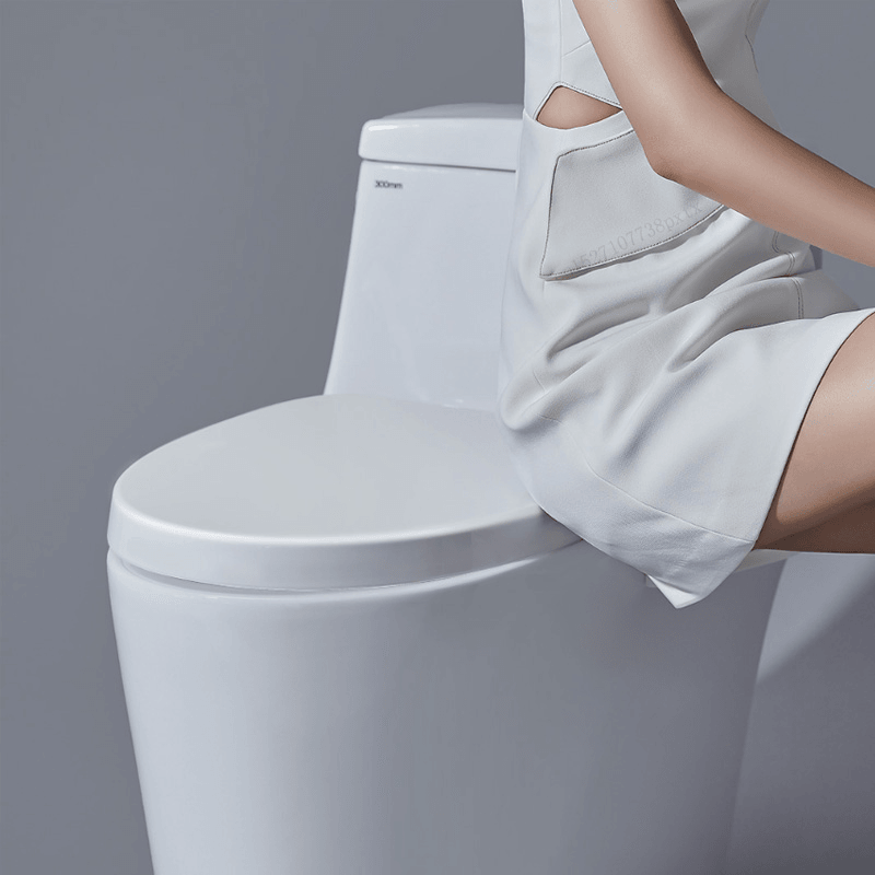 Diiib Multifunctional 3D Smart Sounds Control Toilet Seat LED Night Lighti Bidet - MRSLM