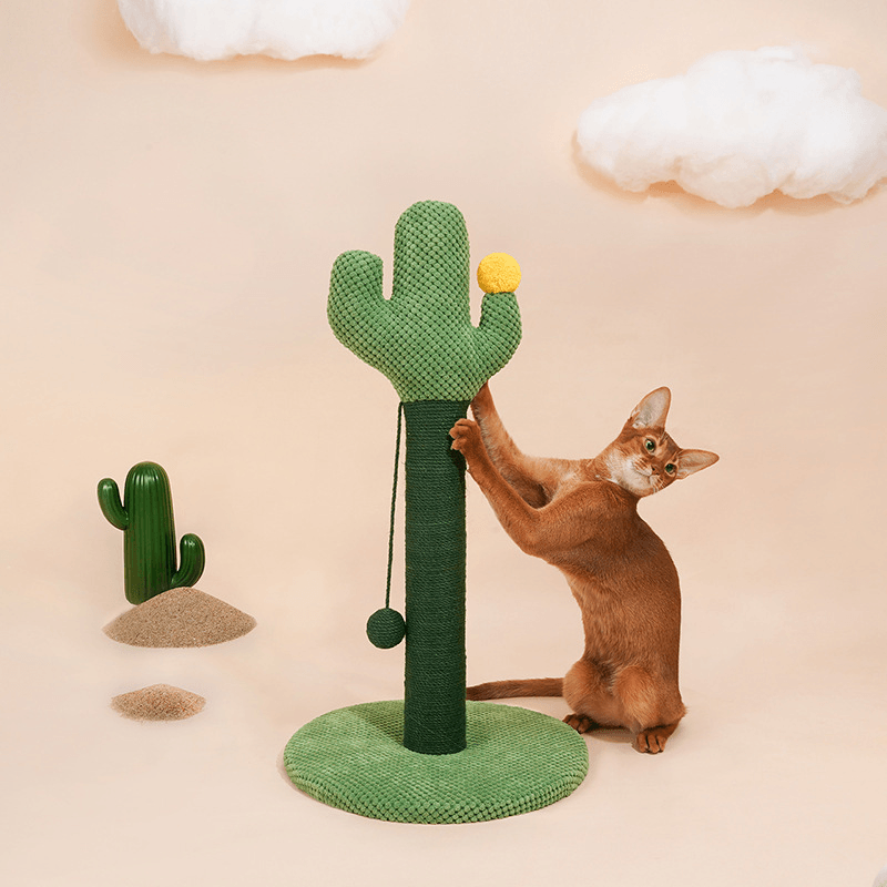 ZERE Cat Scratching Post Cactus Grab Post Grind Claws Play for Pet - MRSLM