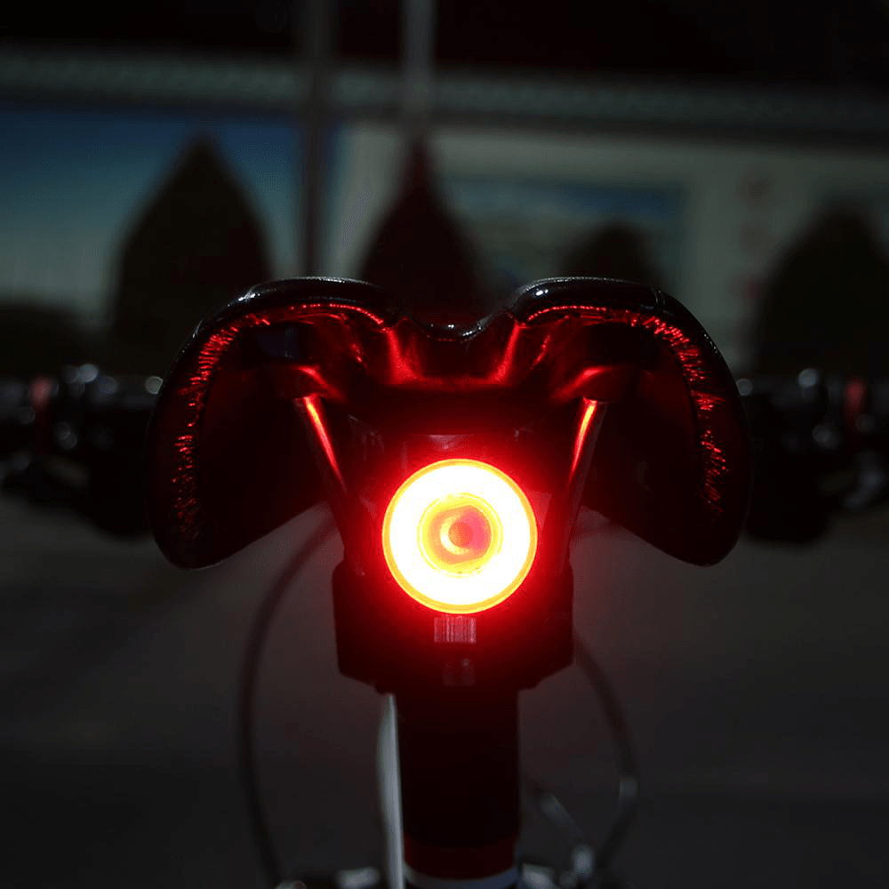 GUB 065 6-Modes USB Rechargeable Bike Light Auto Start/Stop Brake Sensing IPX6 Waterproof LED Bicycle Taillight - MRSLM