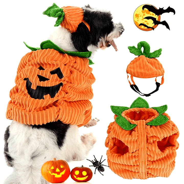 Dog Halloween Costume Dog Collar Pumpkin Design Creative Funny Pet Clothes Decorations - MRSLM