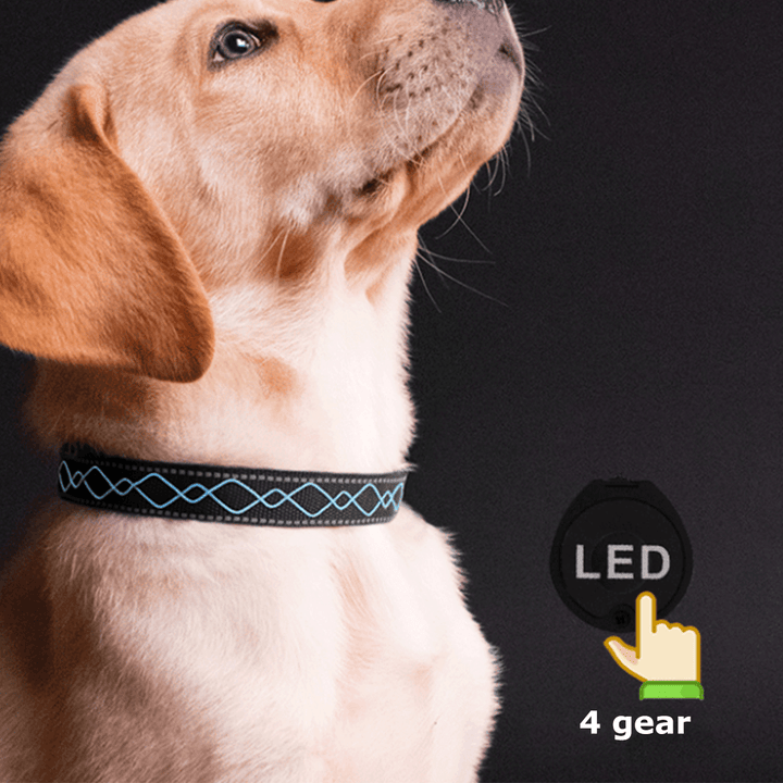 LED Dog Pet Collar Flashing Luminous Safety Night Light Flashing Adjustable - MRSLM