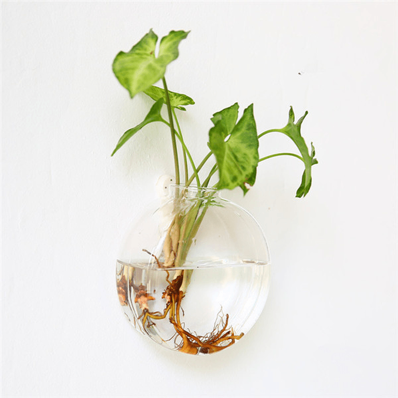 Creative Wall Hanging Transparent Glass Vase Fish Tank Hydroponic Living Room Home Decor - MRSLM