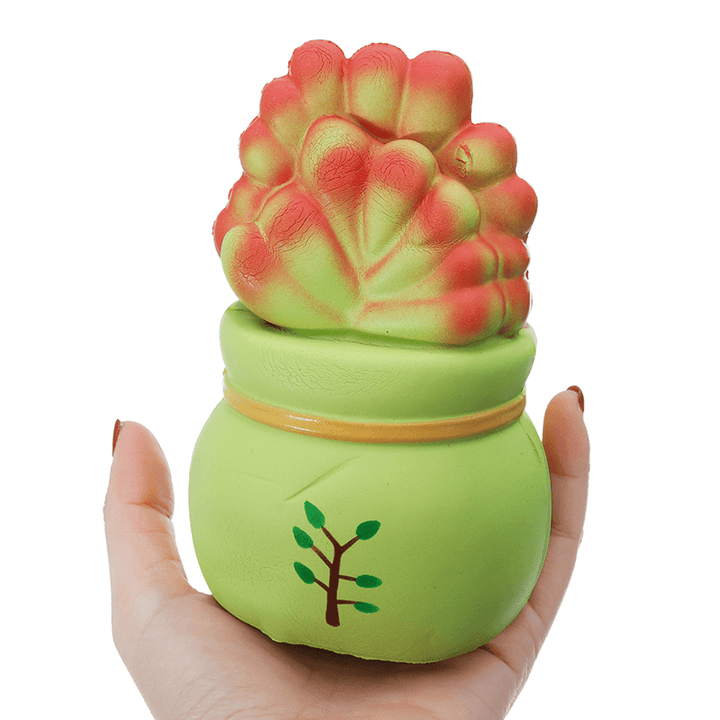 Vlampo Licensed Slow Rising Squishy Potted Succulents Lucky Plant Home Decoration Stress Release Toy 14Cm - MRSLM