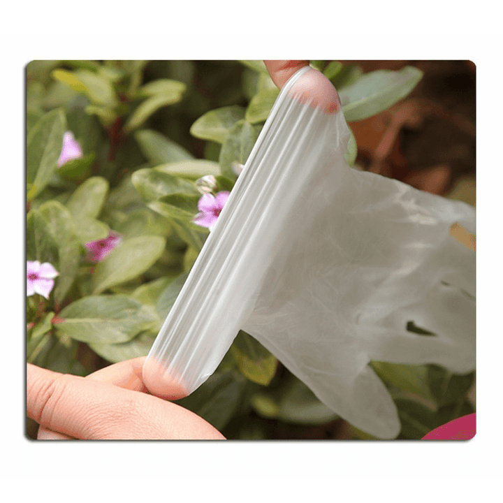 WEISHENG 100*Pcs Disposable PVC BBQ Gloves Waterproof Anti-Infection Safety Glove - MRSLM