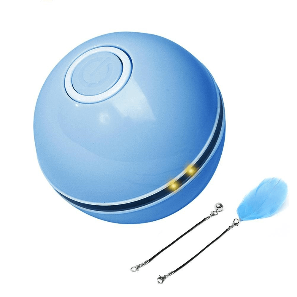 Remote Control Pet Bounce Ball - MRSLM