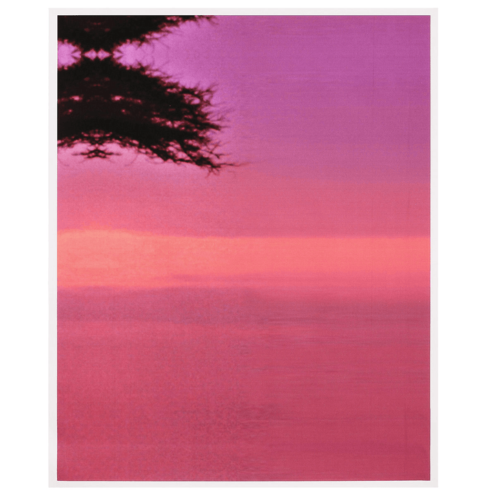 Large Sunset&Tree Canvas Print Wall Art Painting Picture NO Frame Home Decorations - MRSLM