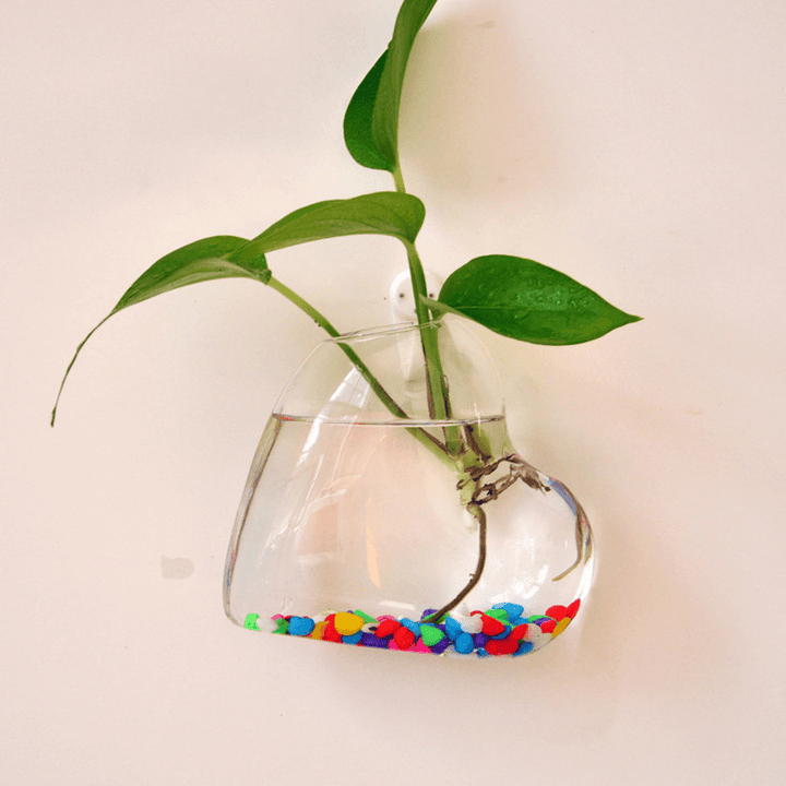 Creative Wall Hanging Transparent Glass Vase Fish Tank Hydroponic Living Room Home Decor - MRSLM