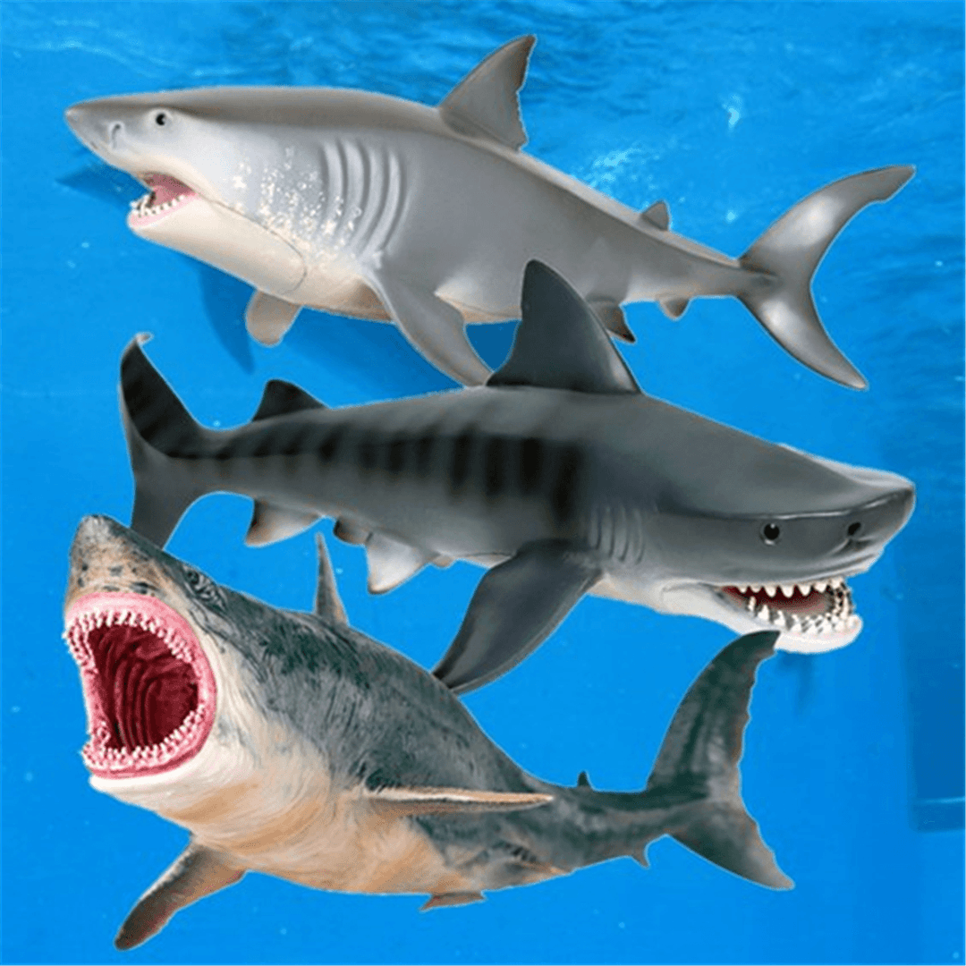 Shark Animal Model Simulation Marine Life PVC Shark Toys Children'S Adult Toys Gifts Decoration - MRSLM