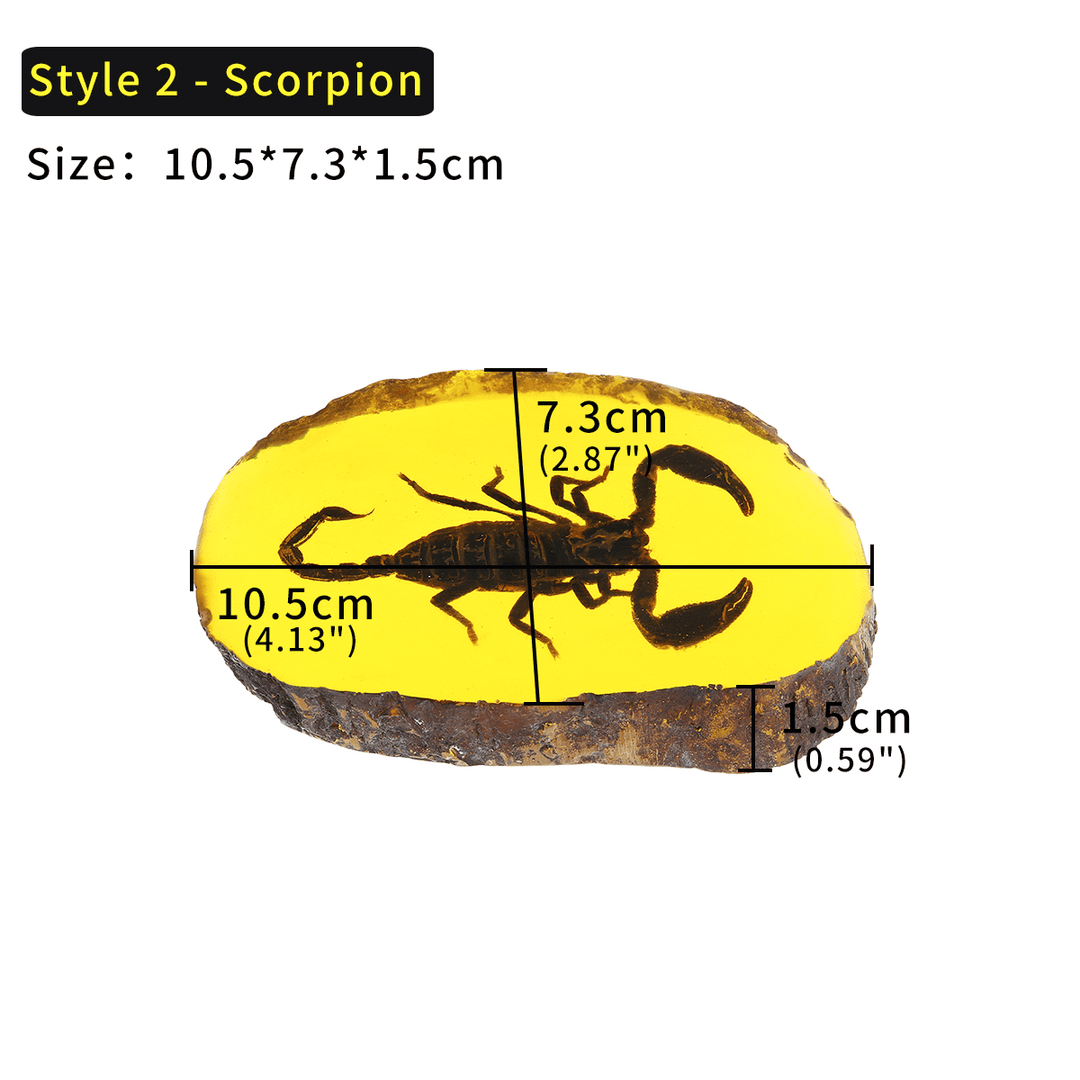 Amber Fossil Insects Dragonfly Manual Polishing Insect Specimen Pendant Craft Decorations - MRSLM