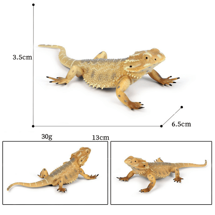 Children'S Cognitive Amphibian Solid Model Decoration - MRSLM