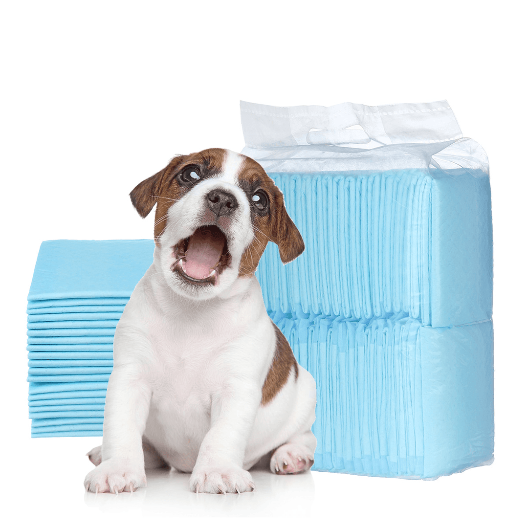 100/50/40/20 Pet Diapers Deodorant Thickening Absorbent Diapers Disposable Training Urine Pad Dog Diapers - MRSLM