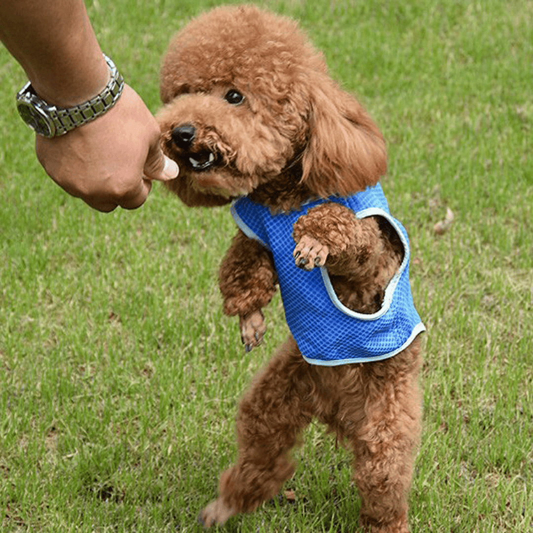 Summer Cooling Jacket Coat Vest T-Shirt Clothes Clothing for Dog Cat Puppy Pet Vest - MRSLM