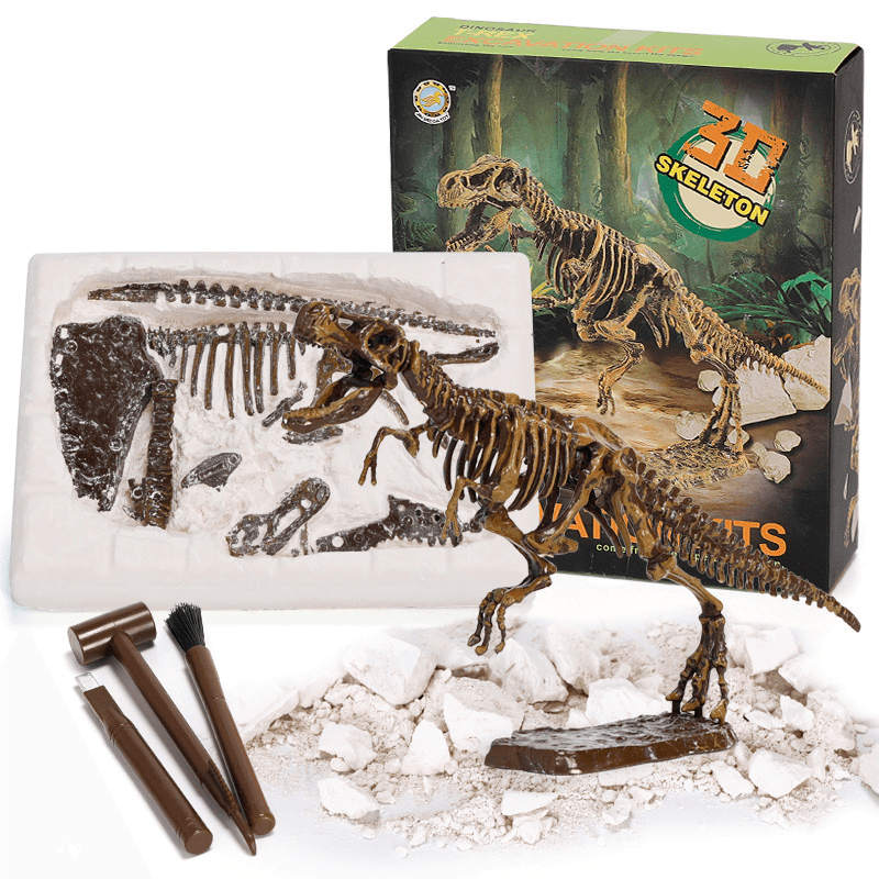 Archaeological Excavation Dinosaur Skeleton Educational Toy - MRSLM