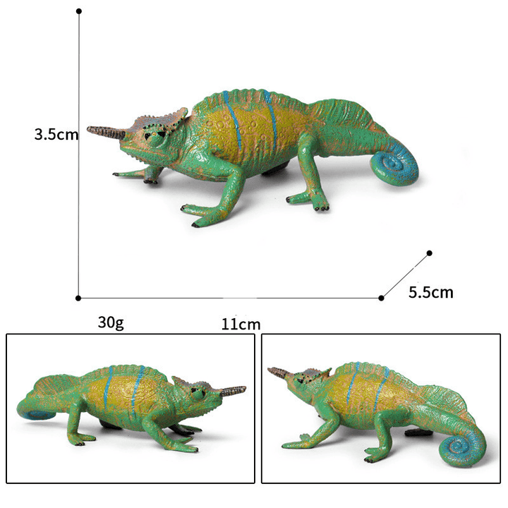 Children'S Cognitive Amphibian Solid Model Decoration - MRSLM