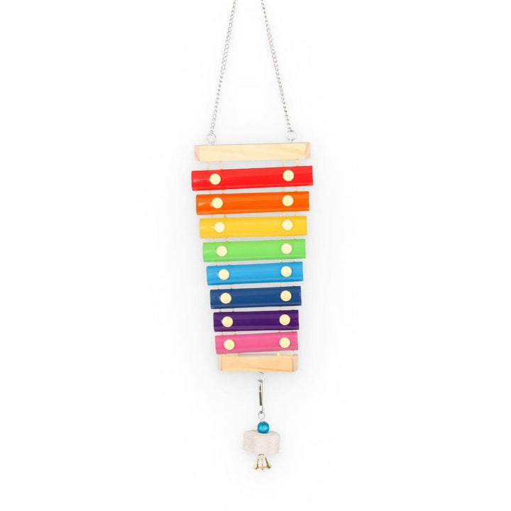 Xylophone Toy For Birds - MRSLM