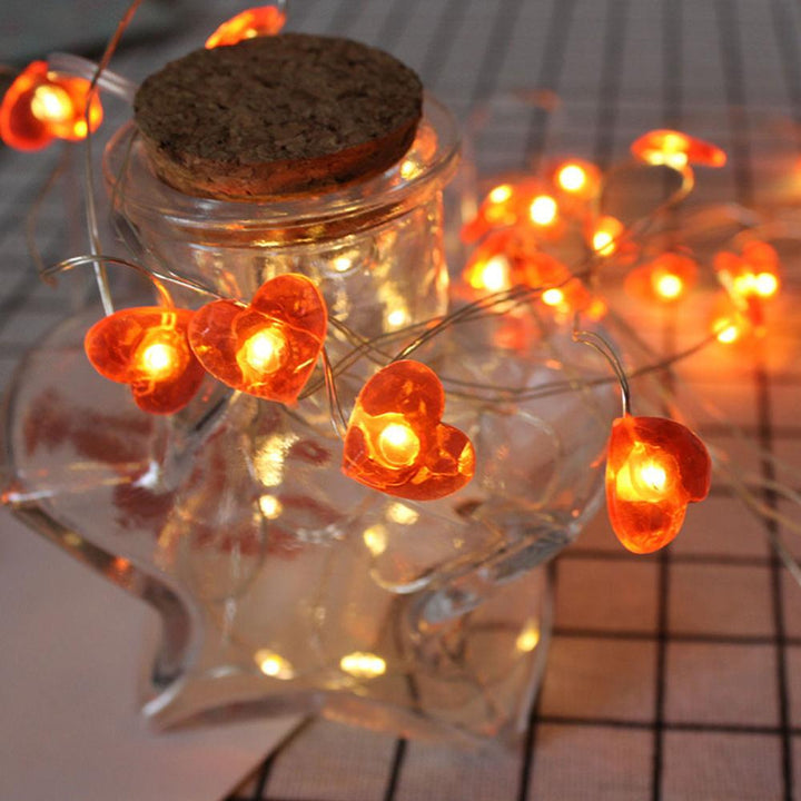 Exotic Style LED Fairy Lights