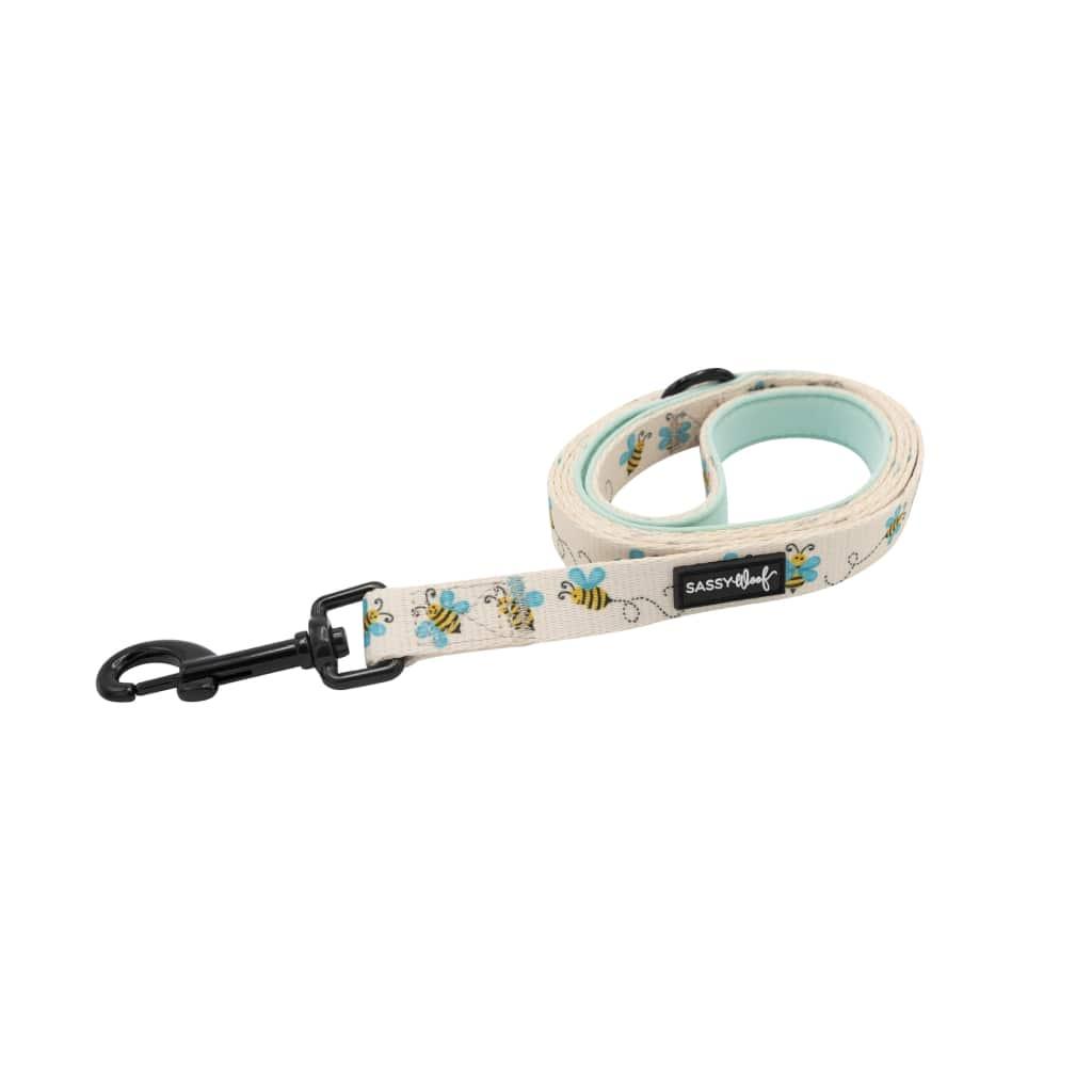 Bee Sassy' Dog Fabric Leash - MRSLM