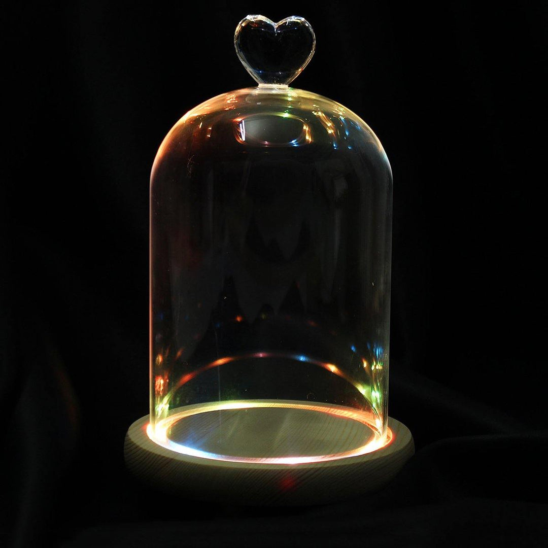 Clear Glass Display Flower Dome Bell Jar Cloche Wooden Base With LED Light Room Decorations - MRSLM