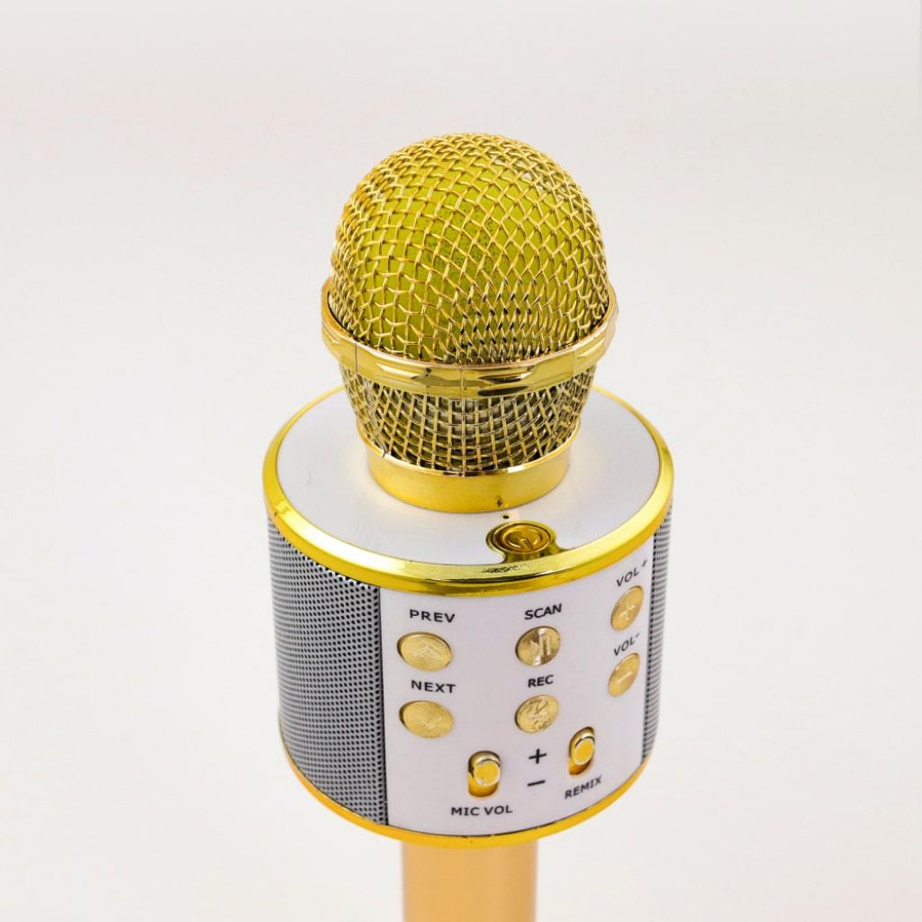 Wireless Karaoke Microphone - MRSLM