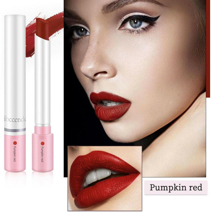 4pcs/Set Lipstick Kit Matte Velvet long-lasting Pipe Lipstick Makeup - MRSLM