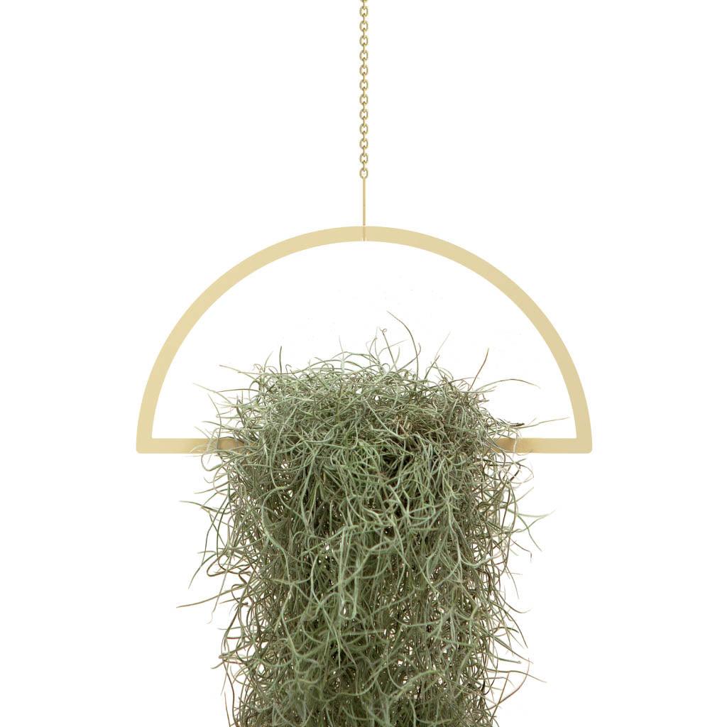 Gold Hanging Semicircle Plant Holder - MRSLM