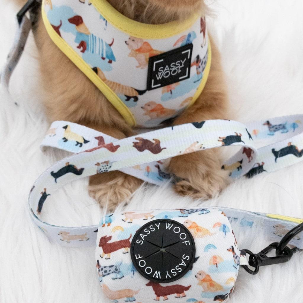 Rainy Dachshund' Dog Fabric Leash - MRSLM