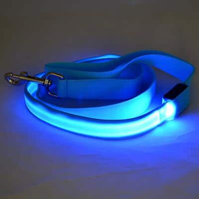 LED Dog Leash