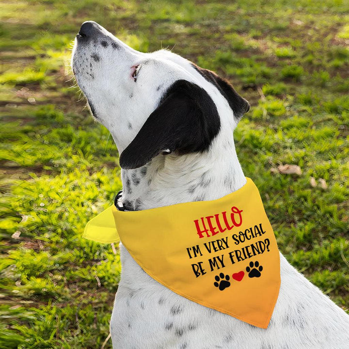 Friend Pet Bandana - Colorful Dog Bandana - Printed Pet Scarf - MRSLM