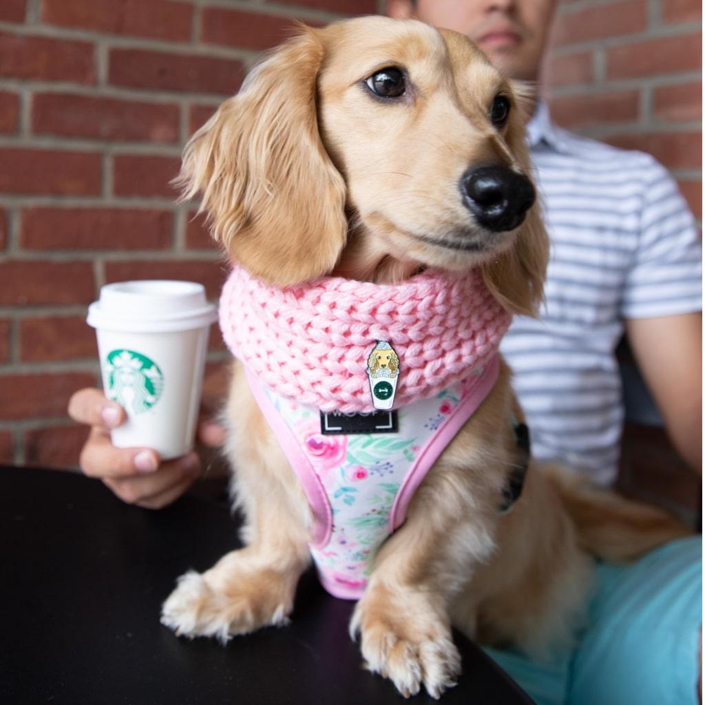 Dog Infinity Scarf - Pink - MRSLM