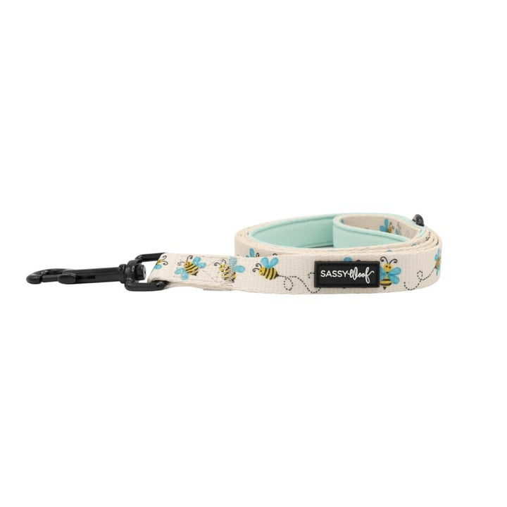 Bee Sassy' Dog Fabric Leash - MRSLM